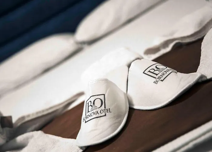 Bornova 3* 伊兹密尔