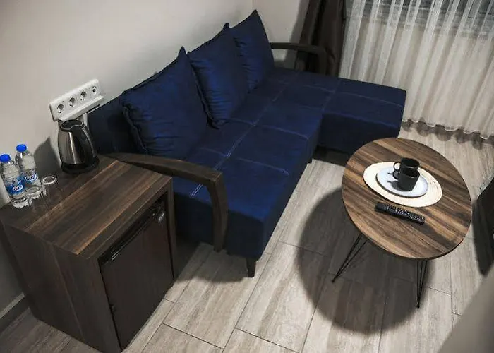 酒店 Bornova 伊兹密尔